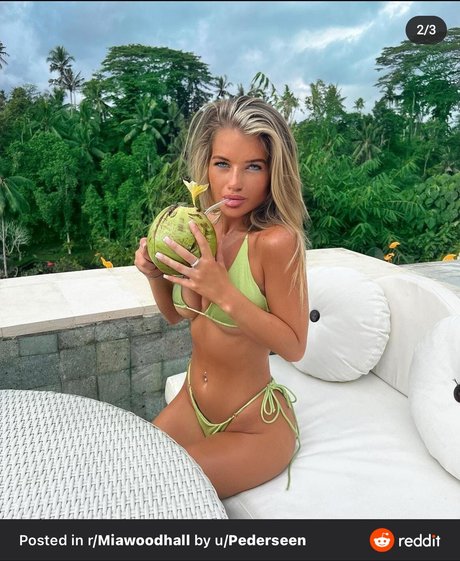 fans navajos uniquement haute qualité parfait img