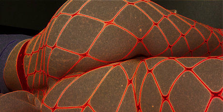 cul écarté onlyfans haute qualité exclusive galerie