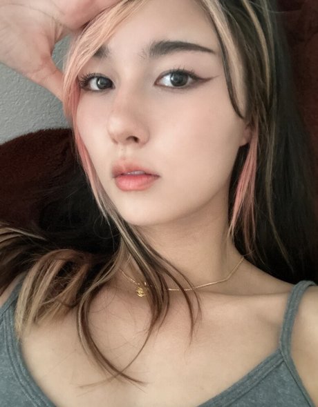 Amiechikin étoile gratuite galeries