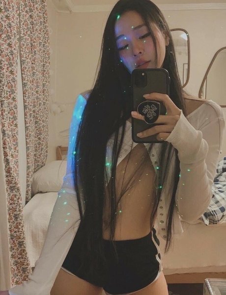 Ninibae étoile de haute qualité photos