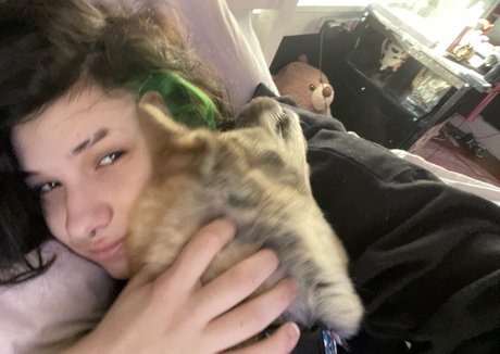 Indigoo belle star du porno image