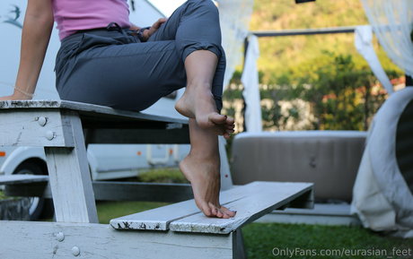 eurasian feet étoile galeries