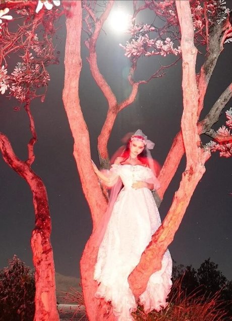 ventilateurs corporels uniquement haut de gamme img