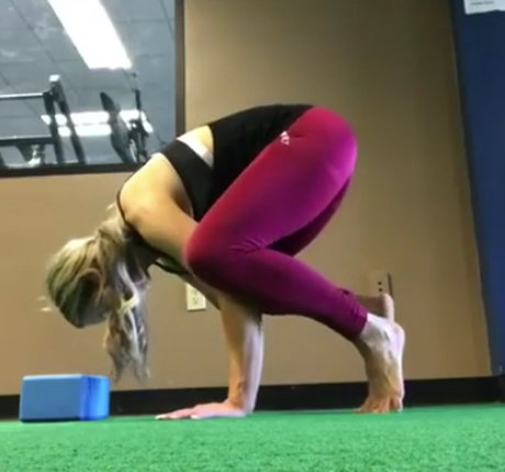 alliewrestling étoile de haute qualité photo