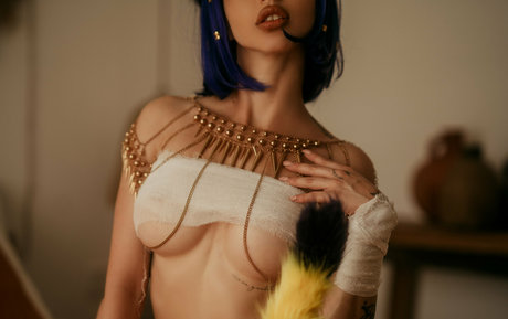 chaton potelé uniquementfans hd sympa galeries