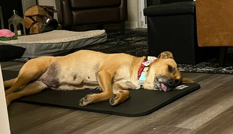 cocovandi actrice exclusive galerie