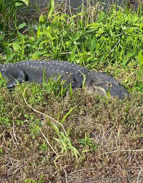 amateurs anaux uniquementfans hd gratuit photos