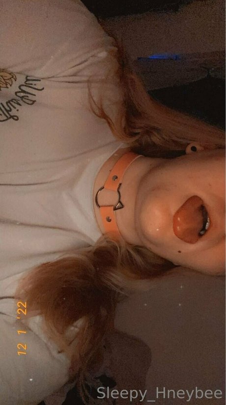 sleepy hneybee étoile magnifique galeries