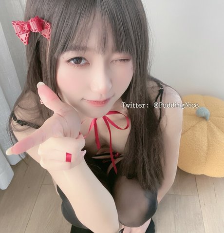 Puddingnice modèle nu img