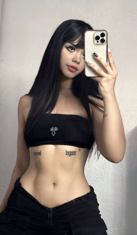 fans en fauteuil roulant uniquement meilleur art image