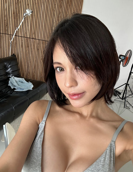 Pingping 2011 haut étoile galeries