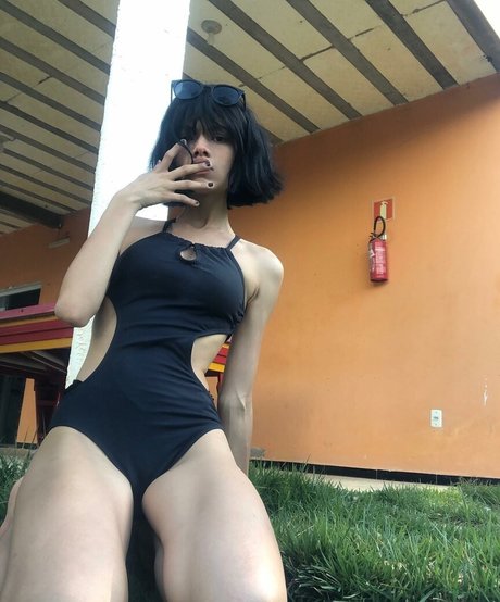 Vamp car étoile de l'art galeries