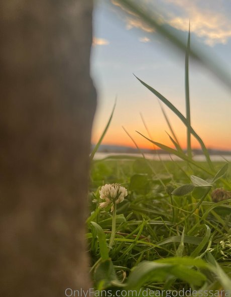 fans dété uniquement chaud image