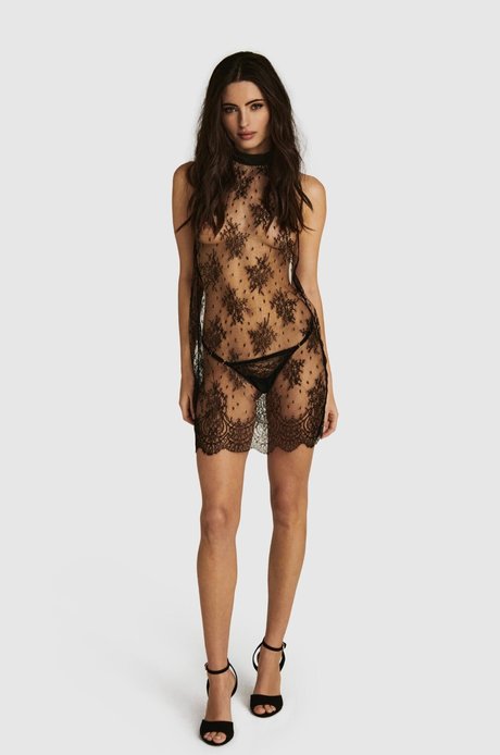 chaton courbé onlyfans nue xxx image