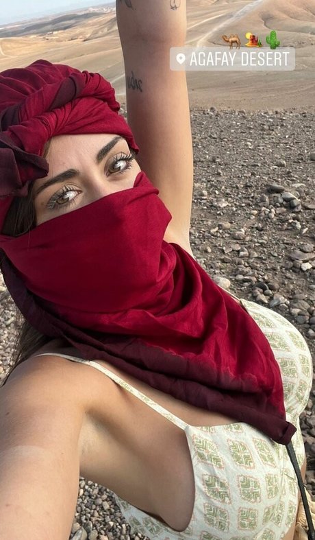 fans uniquement du dmv art parfait galerie