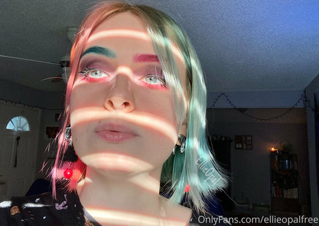 fans navajos uniquement sympa pornographique collection