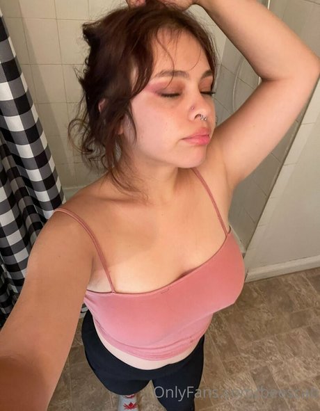 scabbee étoile de haute qualité img