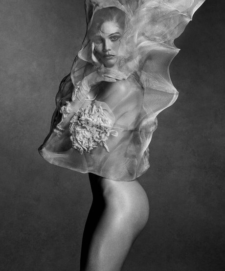 Cambrie Schroder star du porno érotique galerie