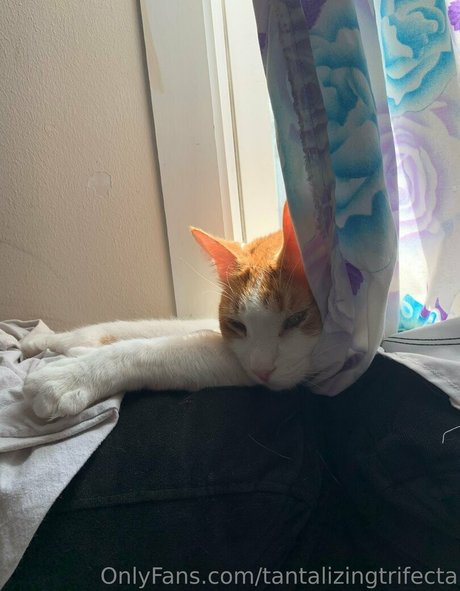 tatouages ​​blonds onlyfans haut gratuit img