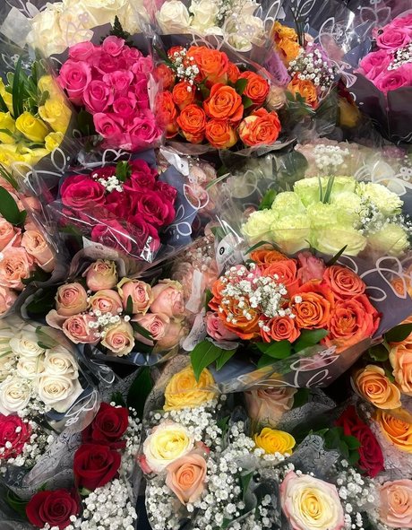 thisorthatwithsunny belle étoile archive