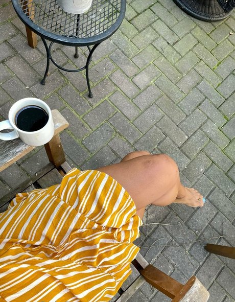 fans asiatiques célèbres adulte érotique collection