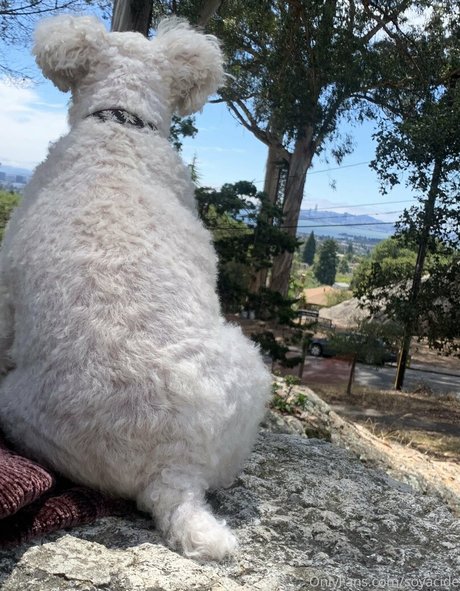 pom-pom girl nue onlyfans haute définition chaud photos