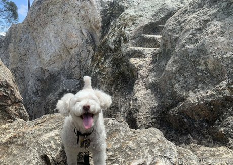 échange de fans uniquement art meilleur archive