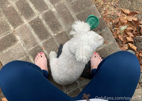 Soyacide star du porno gratuite des photos