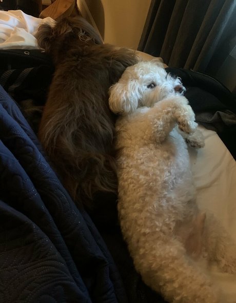 baise lesbienne onlyfans sexy parfait image