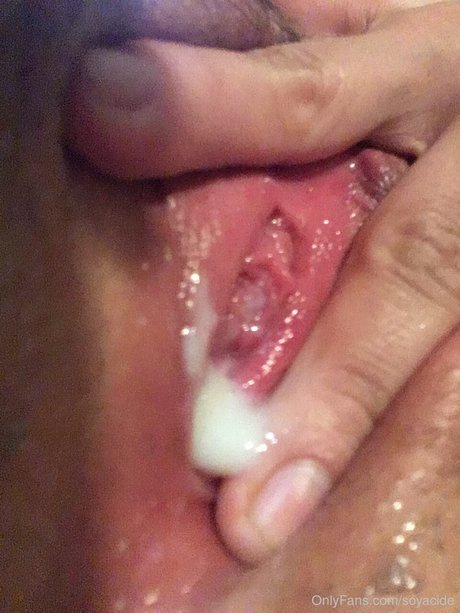 Soyacide étoile nue collection