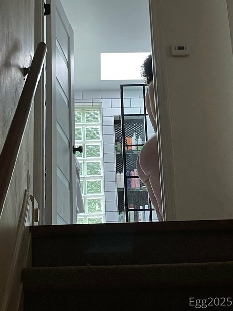 Egg2025 star du sexe collection