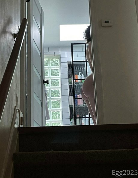 Egg2025 modèle parfait collection