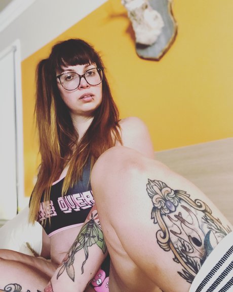 Ibiche modèle gratuit image