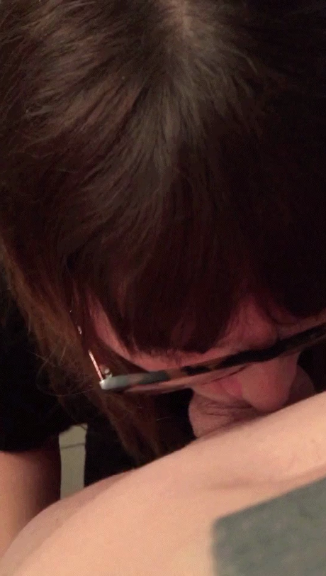 Ibiche meilleure étoile des photos