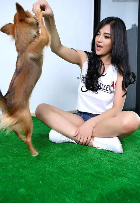 seuls les fans potelés art meilleur photos