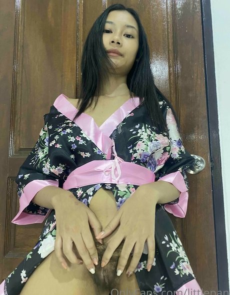 littlepan star pornographique collection