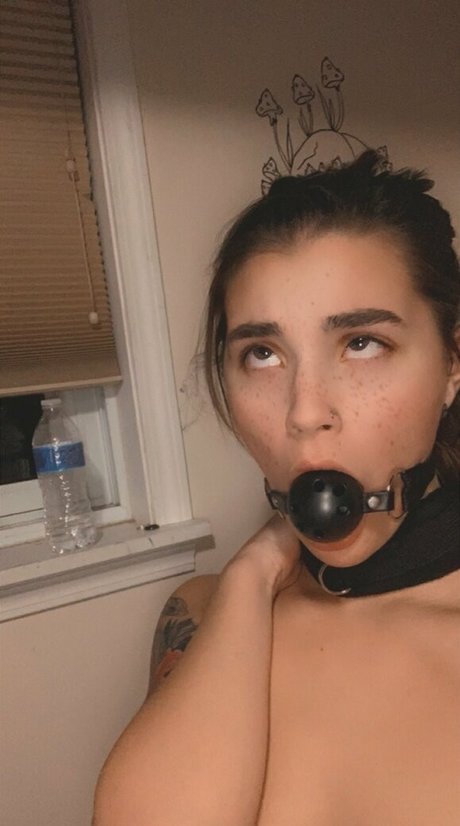 anna estelle star du porno chaude collection