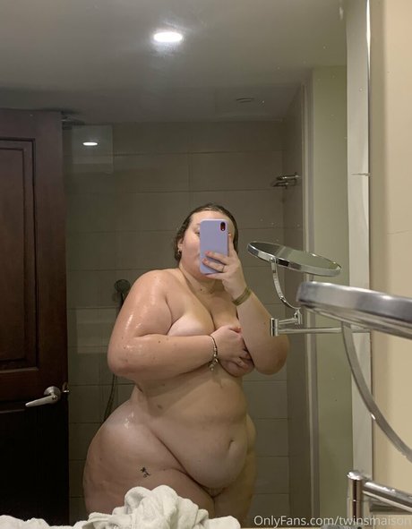 twinsmaison modèle hd galerie