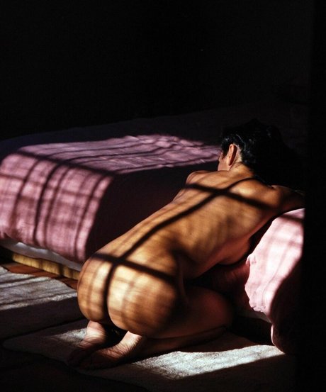 Desiree Flores star du porno belle collection