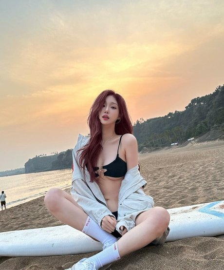 woohankyung nus de stars du porno collection