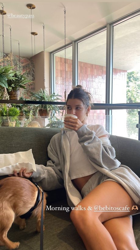 fans uniquement du dmv meilleur exclusif galeries