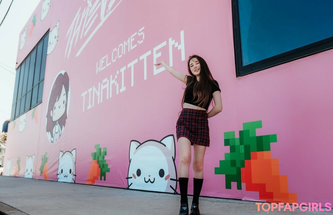 Tinakitten modèle de haute qualité archive