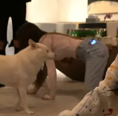 épouse pute onlyfans sympa érotique images