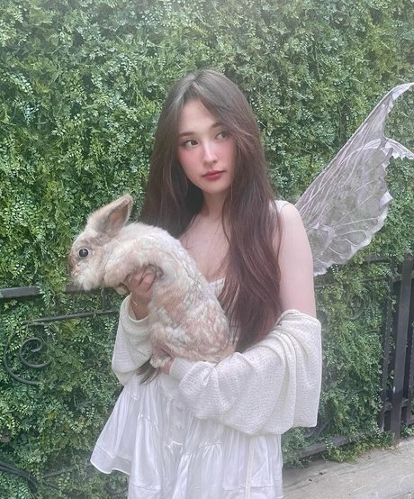 Tinakitten nus étoiles galerie