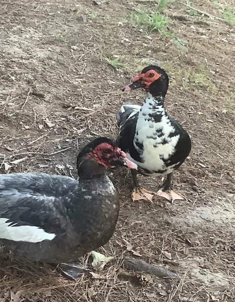 missleanalee actrice de grande qualité galeries