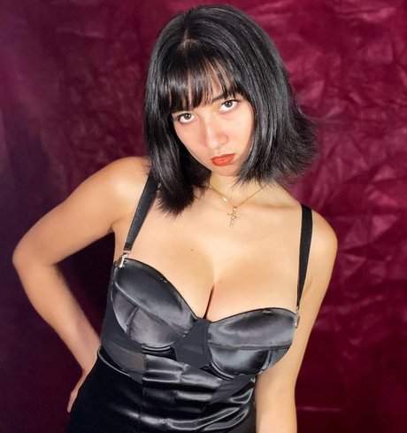 Onlyclown joli modèle collection