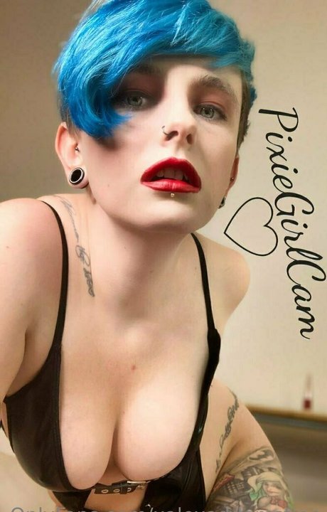 xalexaddamsfree étoile galerie