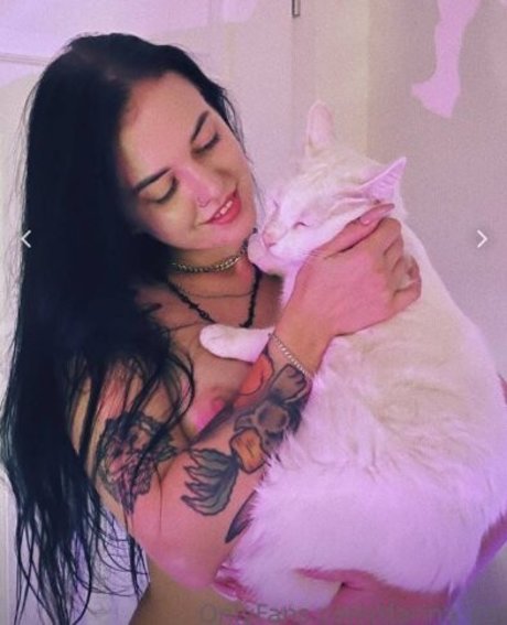 darina cat belle star du porno photo