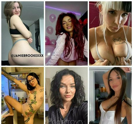 debrafox meilleure étoile image