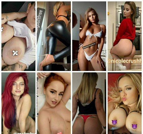 debrafox étoile parfaite photo